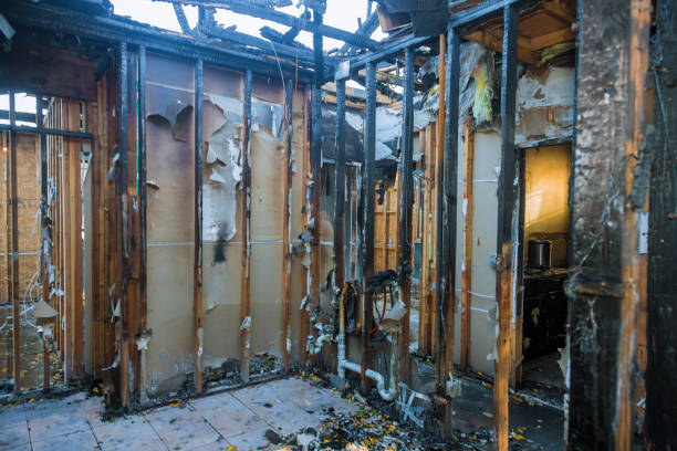 Professional Fire Damage Removal technician working in Trinity, AL